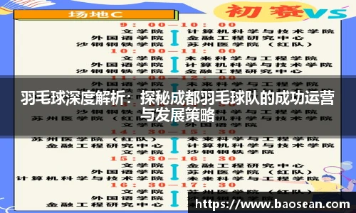 羽毛球深度解析：探秘成都羽毛球队的成功运营与发展策略